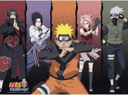 Naruto: Shippuden Group Poster Set of 2