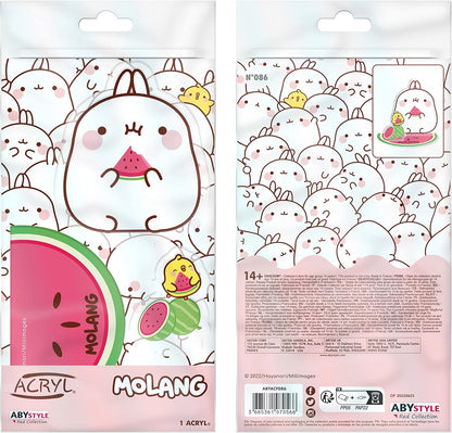 Molang Watermelon ACRYL Figure